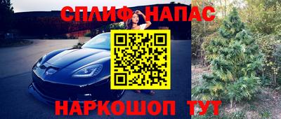 трава Кинель