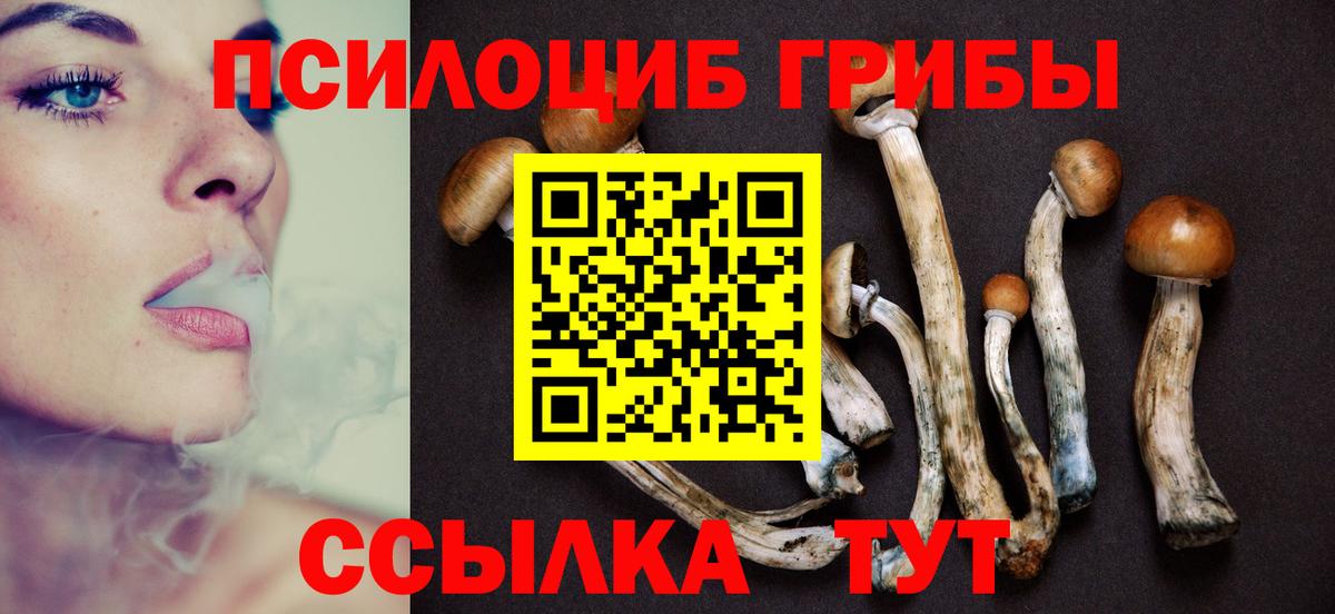 Ртищево  Галлюциногенные грибы ЛСД  магазин продажи наркотиков  Вход с VPN 